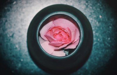 国庆求婚告白精选 深情表白打动爱人