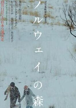 平凡人生中的深情与感悟：村上春树作品启示