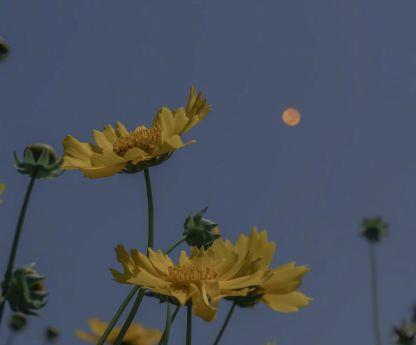 职场励志精选语录 职场励志精选语录