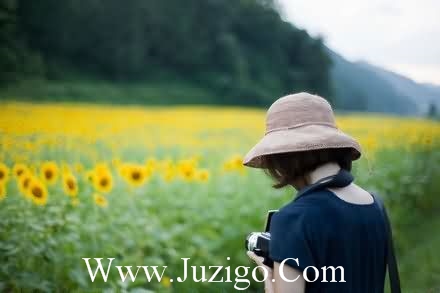 深夜毒鸡汤句子正能量正能量毒鸡汤的句子(精选60句)